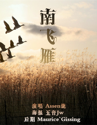南飞雁视频