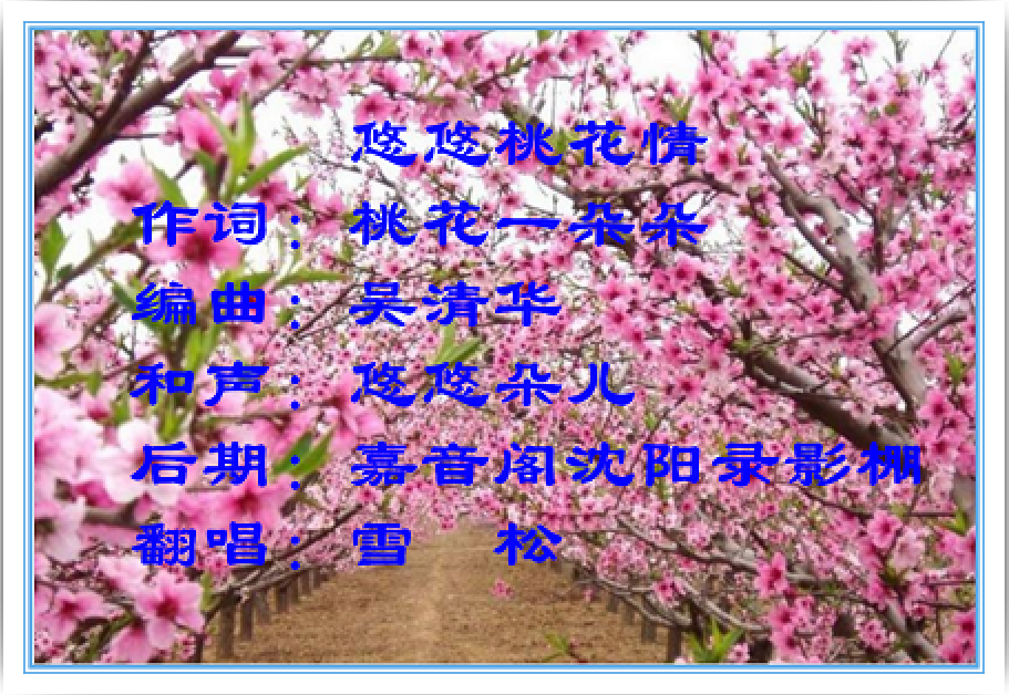 悠悠桃花情简谱_桃花简笔画