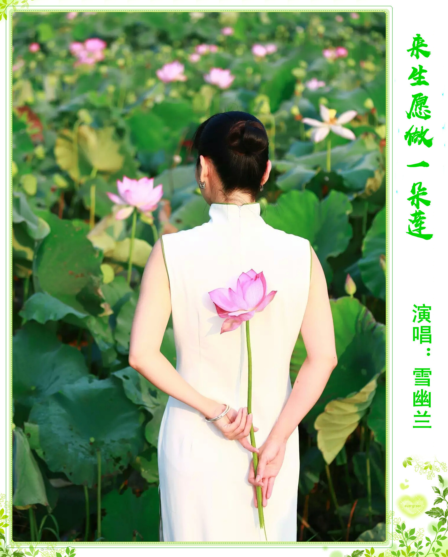 来生愿做一朵莲