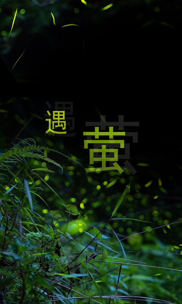 遇萤