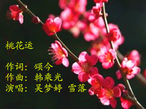 桃花运(吴梦婷)