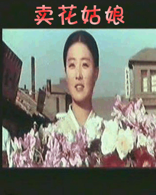 卖花姑娘 - 基地专用 - yy嗓子的相册 - 5sing中国
