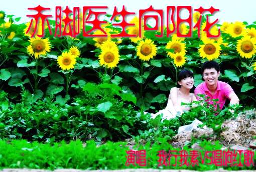 赤脚医生向阳花简谱_赤脚医生向阳花图片