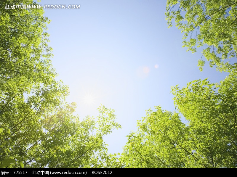 今天天气好棒!火速***