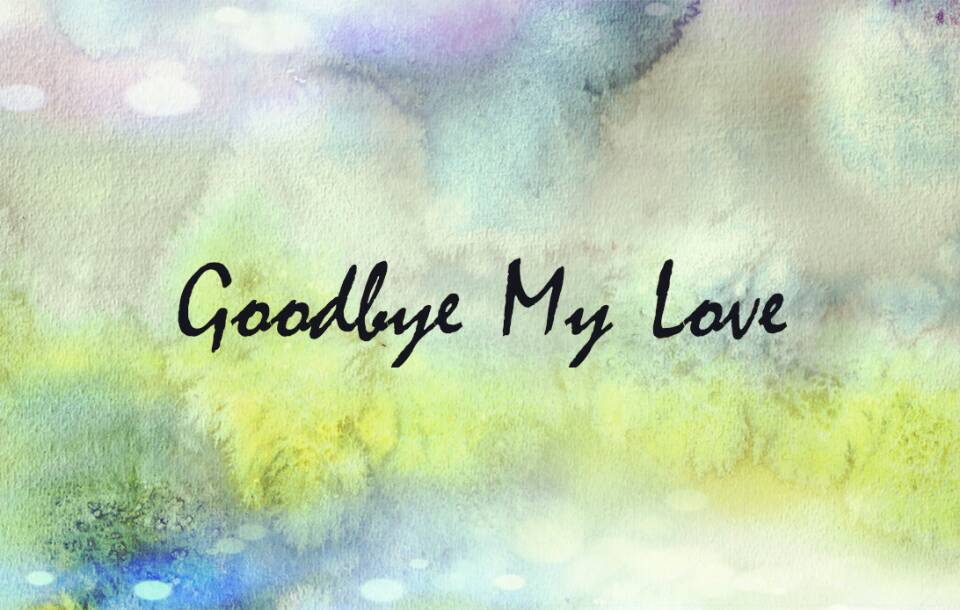 goodbye my love