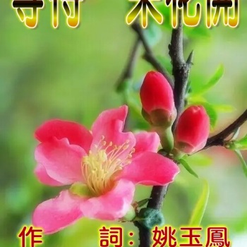 杜来虎(陶笛)