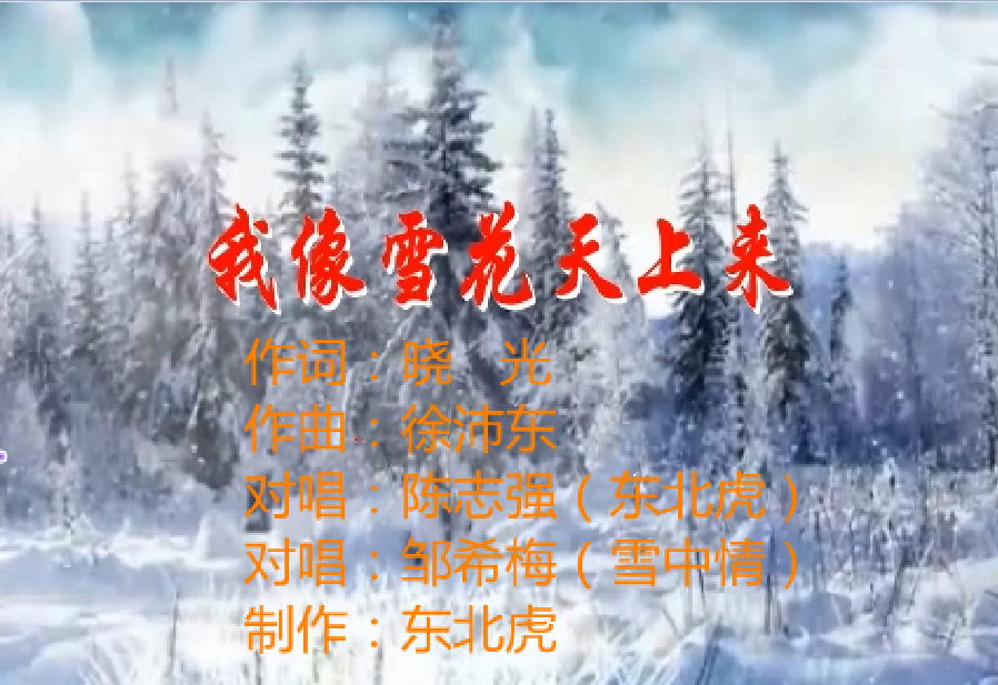 我像雪花天上来