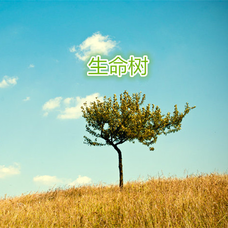 生命树曲谱_生命树图片简笔画(2)