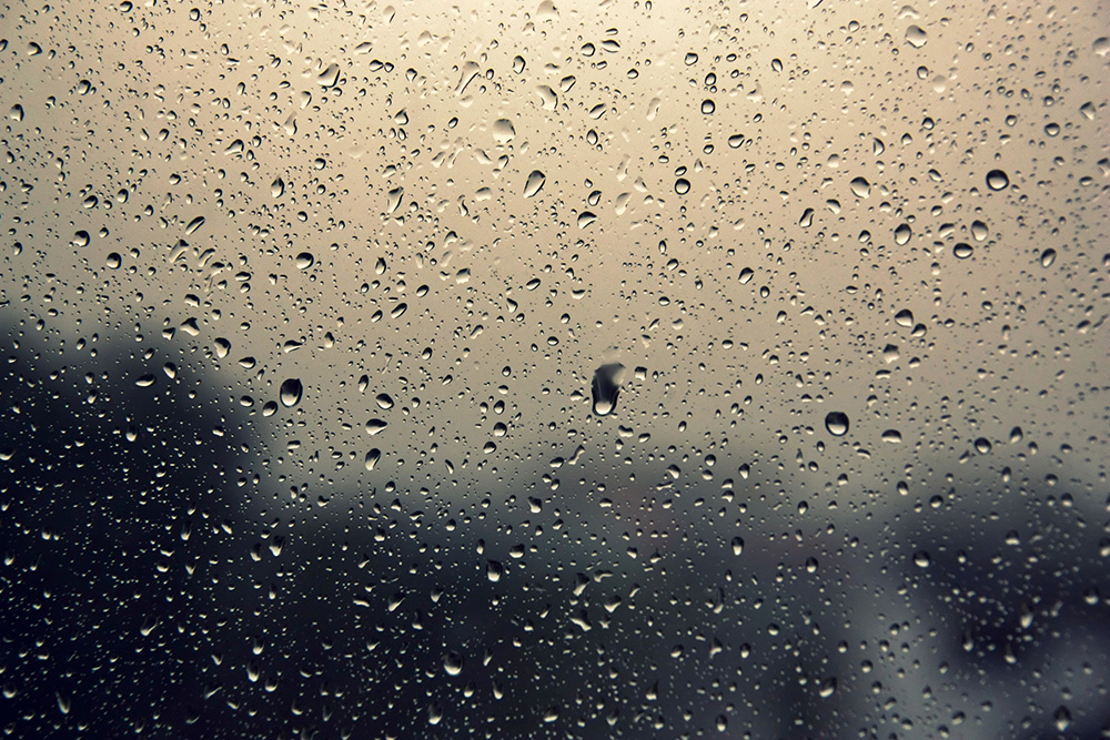 静听窗外风雨,思绪万千.                    