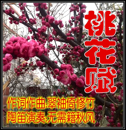 桃花赋简谱_三月桃花心中开简谱