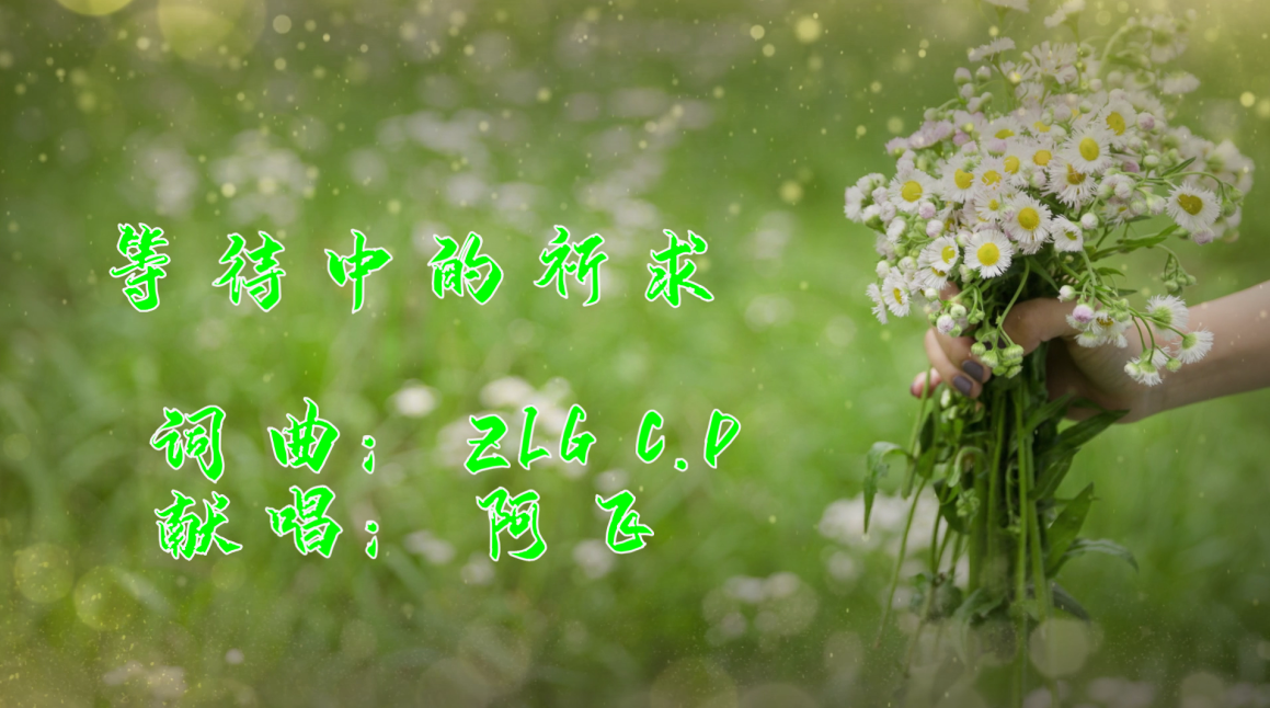 等待中的祈求